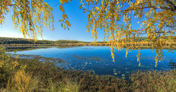 Желтая осень / Уральская природа