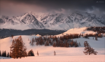 Розовый зефир .. / Горный Алтай, Курайская степь.

© PHOTOTRAVEL.PRO