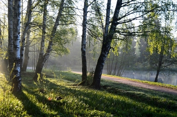 Утро у пруда..... / Петербург. Шуваловский парк. Май