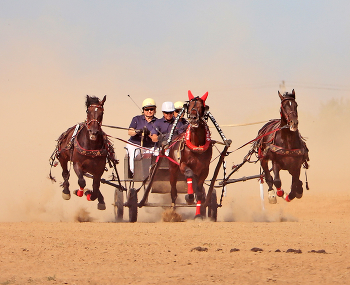 Русская тройка / Шоу орловских рысаков