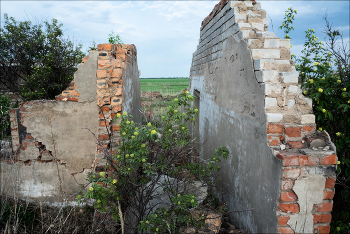 в огороде бузина, а / [img]https://live.staticflickr.com/65535/53130683448_16309b3209_h.jpg[/img]

 

[img]https://live.staticflickr.com/65535/53130199346_127aca05f1_h.jpg[/img]