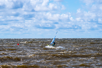 На Финском заливе. / 2023 год.