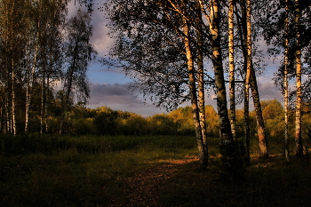 *Тёплый вечер.** / Томская область.