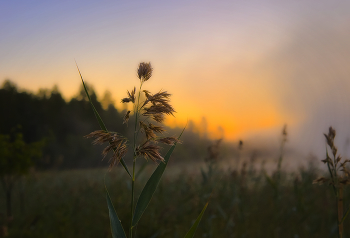 &nbsp; / КАРЕЛИЯ