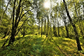 "Вот и лето прошло, словно и не бывало ..." / "Вот и лето прошло,
словно и не бывало.
На пригреве тепло.
Только этого мало ..."
А.Тарковский