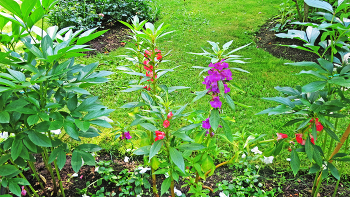  / В парке Александрия