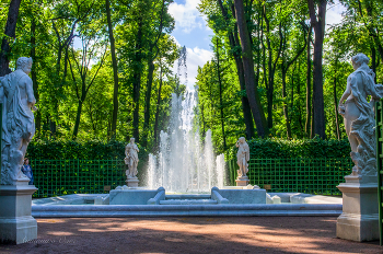 Летний сад. / 2012 год.