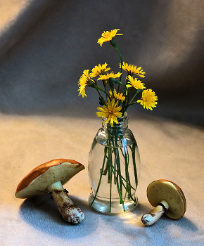 Натюрморт, собранный рядом с домом / ***