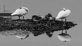 Отдых. / Юпитер-37А СССР.