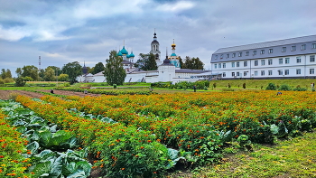 Монастырские огороды / Толгский монастырь