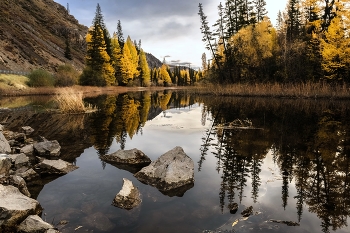 Алтайская осень / До рассвета маленькие речки как зеркала.