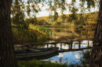 Пруд в селе Верхнетроицком / сентябрь, пруд, деревья