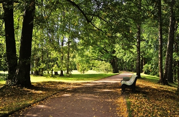 яркая Осень / парк Ораниенбаум