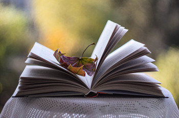 Сентябрь... / ***