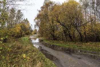 Пасмурный сентябрь / осень сентябрь пасмурный день