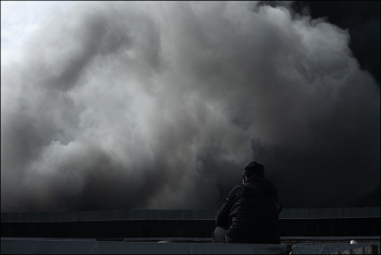 белогривые лошадки / облака