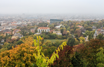 День туманный и сырой / Венгрия, Будапешт, осень, дождливый день