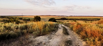 Дорога... / Осеняя дорога