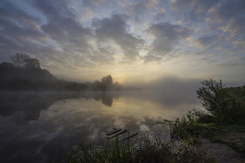 Сентябрьское утро / Россия. Тульская область. Ленинский район. Архангельское.