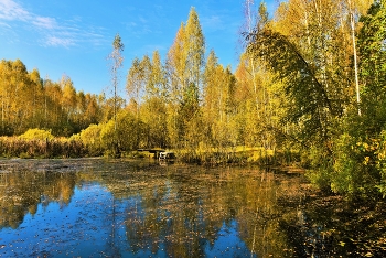 &quot;Ласкай меня, Осень, баюкай, чаруй мои взоры и слух...&quot; / Осенний этюд ...