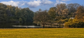 Осеняя зарисовочка / Нидерланды