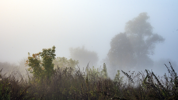 &nbsp; / Осенние туманы