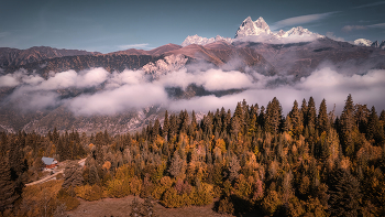 Ushba Mount In Autumn / Осенние краски Сванетии на фоне горы Ушба