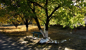 Место отдыха... / Скамья под деревом