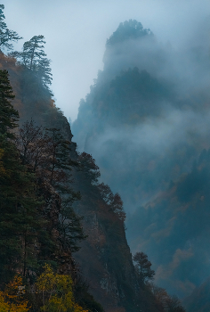 Туман в ущелье / Вот-вот пробьётся солнце.
Из фотопроекта «Кавказ без границ».