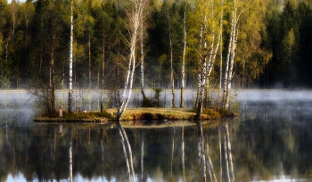 Утром весенним......... / Петербург. Осиновая Роща. Май