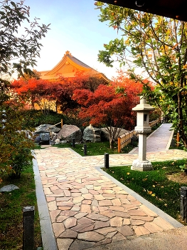 Японский сад, Краснодар / ***