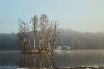 Утром весенним......... / Петербург. Осиновая Роща. Апрель