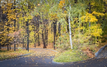 В осеннем парке... / ***