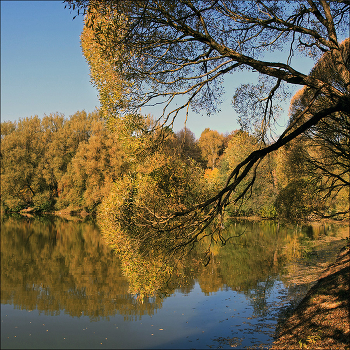 Прогулки по Москве... / Измайловский лесопарк.
