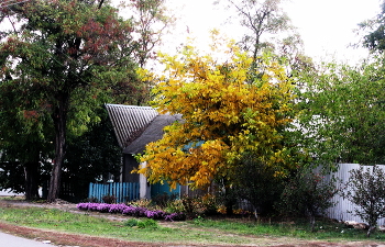 Краски осени... / Улица, дом,деревья
