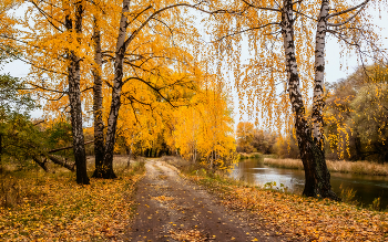 Вдоль берега по осени. / ...