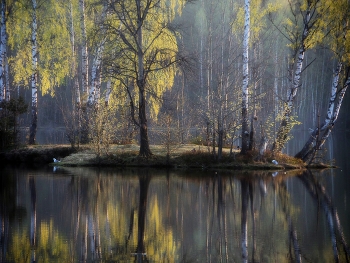 Весенним утром...... / Петербург. Осиновая Роща. Май
