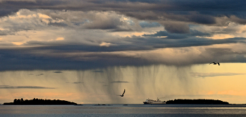 Где-то там... / Где-то там тучка свои космы развесила, а надо мной — светлые вечерние облака.

 Берег Финского залива.
