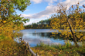 Октябрь / Октябрь