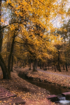 &nbsp; / Осенний парк