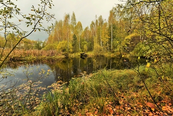 "Октябрь деревьев платья перешил ..." / "Октябрь деревьев платья перешил:
 Укоротил, украсить поспешил ...
 Замел ветрами желтую листву,
 Закрасил серым неба синеву ..."
 И.Самарина