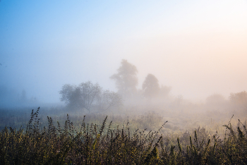 &nbsp; / Осенние туманы