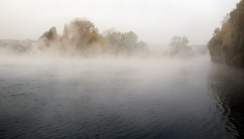 Туманно / ***