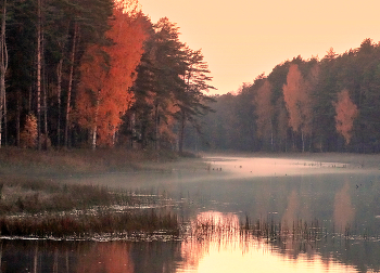 Осенняя вечерняя зарисовка / Осенняя вечерняя зарисовка