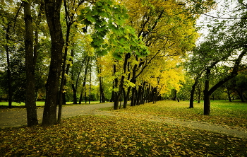 Осень в парке / Беларусь. Минск. Лошицкий усадебно-парковый комплекс.