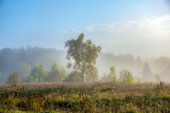 &nbsp; / Осенние туманы