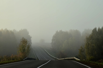Туман / Осенняя дорога в тумане