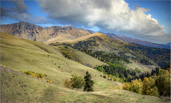 Кавказ / Осень