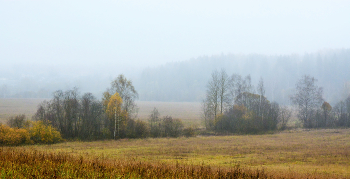 "Туман осенний струится грустно над серой далью нагих полей..." / "Туман осенний струится грустно
 над серой далью нагих полей.
 И сумрак тусклый, спускаясь с неба,
 над миром виснет все тяжелей ..."
 В.Брюсов