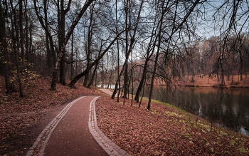 В осеннем парке... / ***